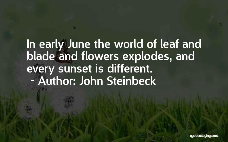 John Steinbeck Quotes: In Early June The World Of Leaf And Blade And Flowers Explodes, And Every Sunset Is Different.