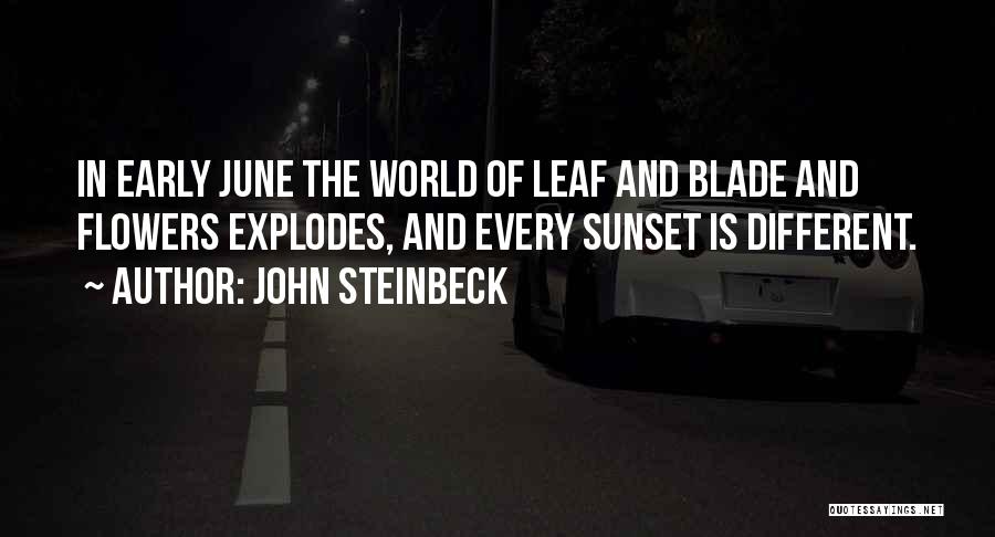 John Steinbeck Quotes: In Early June The World Of Leaf And Blade And Flowers Explodes, And Every Sunset Is Different.