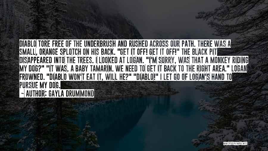 Gayla Drummond Quotes: Diablo Tore Free Of The Underbrush And Rushed Across Our Path. There Was A Small, Orange Splotch On His Back.