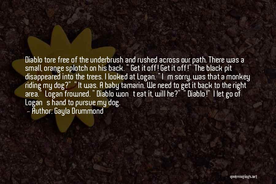 Gayla Drummond Quotes: Diablo Tore Free Of The Underbrush And Rushed Across Our Path. There Was A Small, Orange Splotch On His Back.