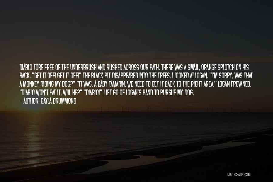 Gayla Drummond Quotes: Diablo Tore Free Of The Underbrush And Rushed Across Our Path. There Was A Small, Orange Splotch On His Back.