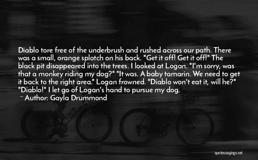 Gayla Drummond Quotes: Diablo Tore Free Of The Underbrush And Rushed Across Our Path. There Was A Small, Orange Splotch On His Back.