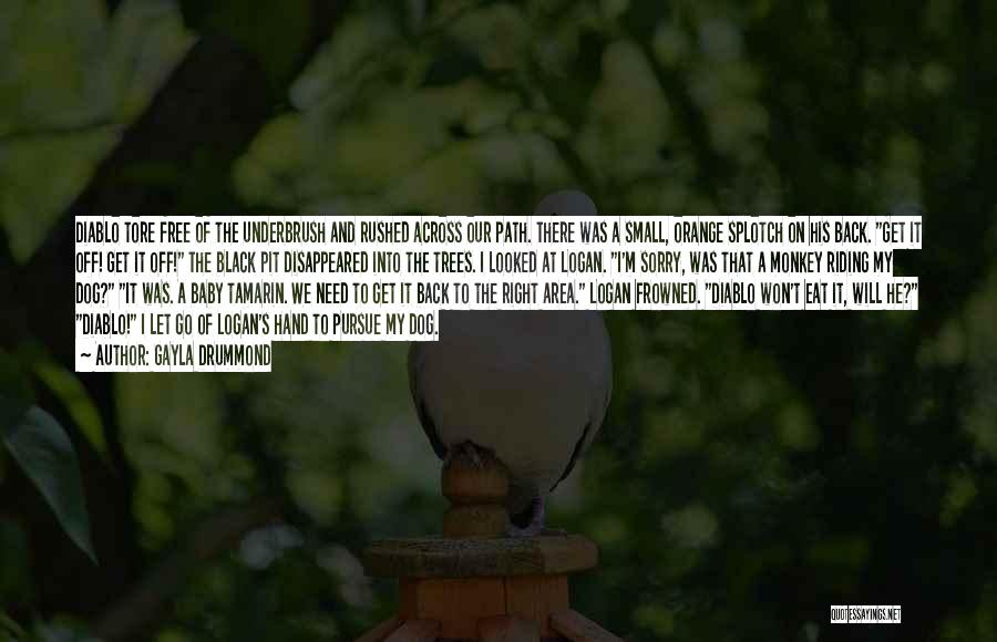 Gayla Drummond Quotes: Diablo Tore Free Of The Underbrush And Rushed Across Our Path. There Was A Small, Orange Splotch On His Back.