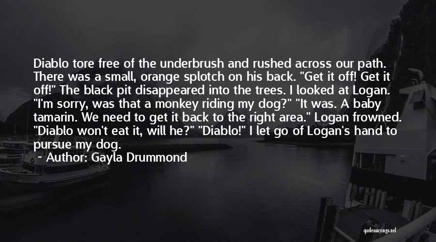 Gayla Drummond Quotes: Diablo Tore Free Of The Underbrush And Rushed Across Our Path. There Was A Small, Orange Splotch On His Back.