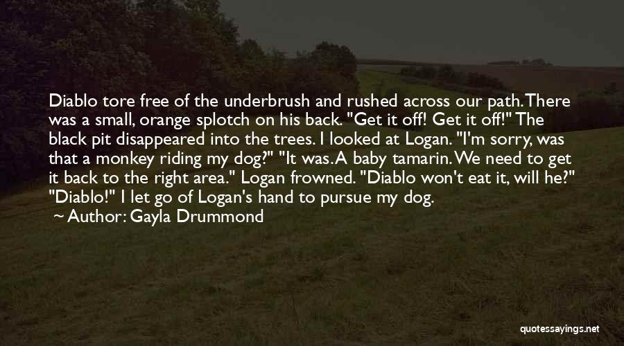 Gayla Drummond Quotes: Diablo Tore Free Of The Underbrush And Rushed Across Our Path. There Was A Small, Orange Splotch On His Back.