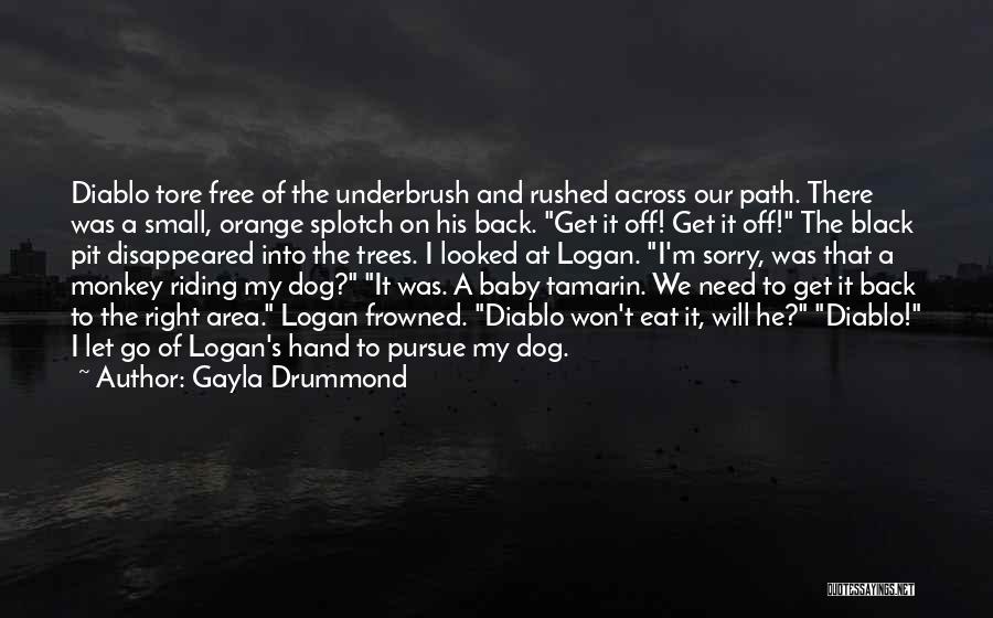 Gayla Drummond Quotes: Diablo Tore Free Of The Underbrush And Rushed Across Our Path. There Was A Small, Orange Splotch On His Back.