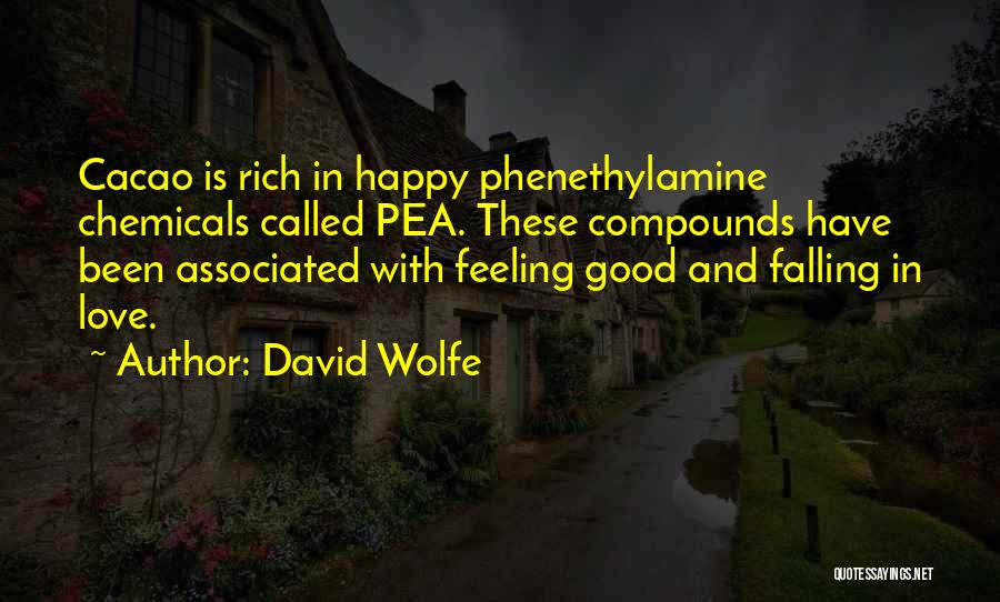 David Wolfe Quotes: Cacao Is Rich In Happy Phenethylamine Chemicals Called Pea. These Compounds Have Been Associated With Feeling Good And Falling In