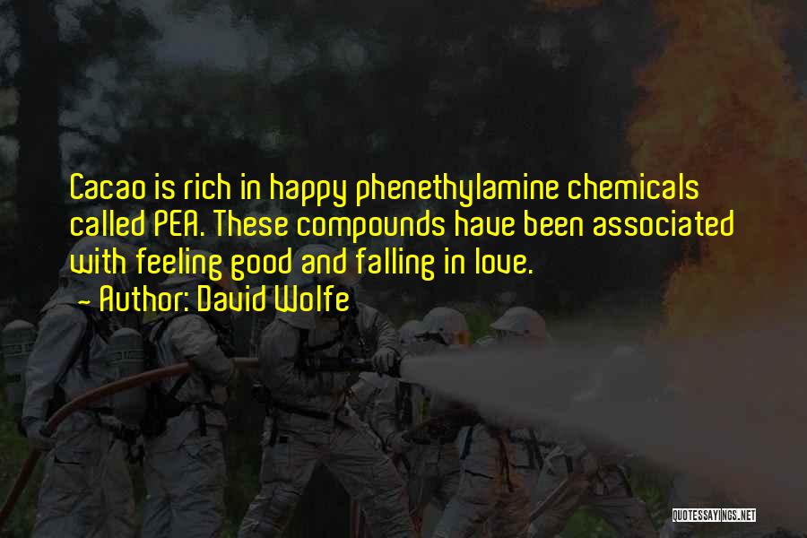 David Wolfe Quotes: Cacao Is Rich In Happy Phenethylamine Chemicals Called Pea. These Compounds Have Been Associated With Feeling Good And Falling In