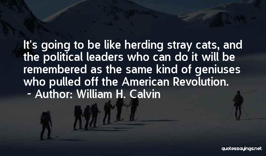 William H. Calvin Quotes: It's Going To Be Like Herding Stray Cats, And The Political Leaders Who Can Do It Will Be Remembered As