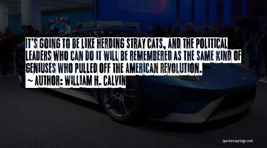 William H. Calvin Quotes: It's Going To Be Like Herding Stray Cats, And The Political Leaders Who Can Do It Will Be Remembered As