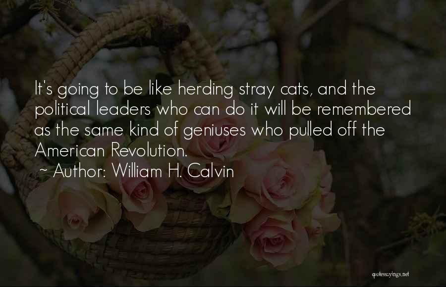 William H. Calvin Quotes: It's Going To Be Like Herding Stray Cats, And The Political Leaders Who Can Do It Will Be Remembered As