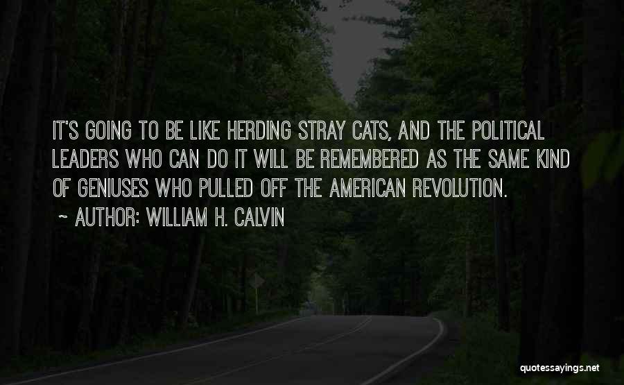 William H. Calvin Quotes: It's Going To Be Like Herding Stray Cats, And The Political Leaders Who Can Do It Will Be Remembered As