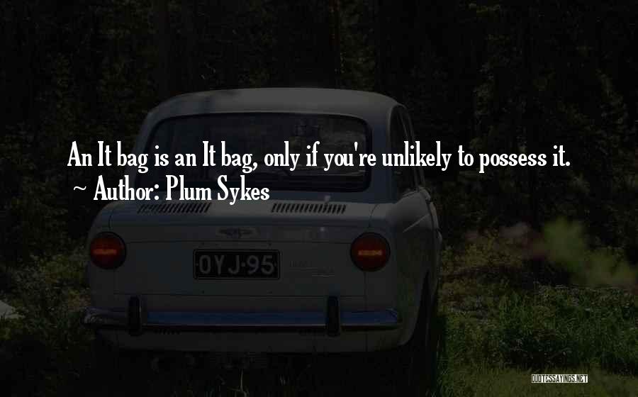 Plum Sykes Quotes: An It Bag Is An It Bag, Only If You're Unlikely To Possess It.
