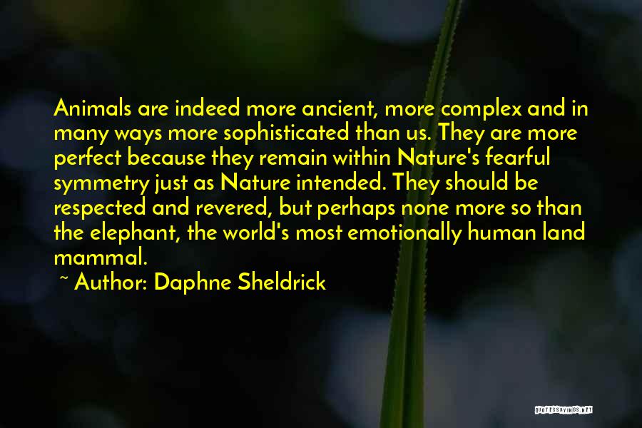 Daphne Sheldrick Quotes: Animals Are Indeed More Ancient, More Complex And In Many Ways More Sophisticated Than Us. They Are More Perfect Because