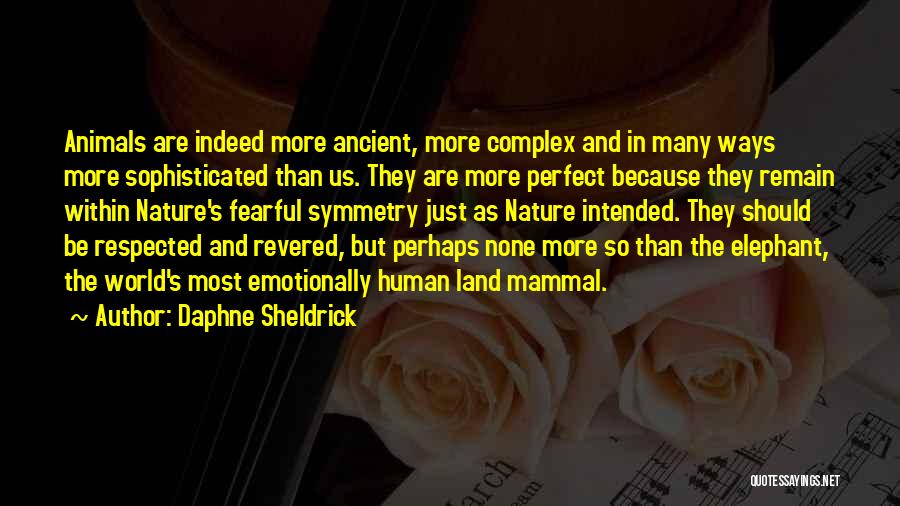 Daphne Sheldrick Quotes: Animals Are Indeed More Ancient, More Complex And In Many Ways More Sophisticated Than Us. They Are More Perfect Because