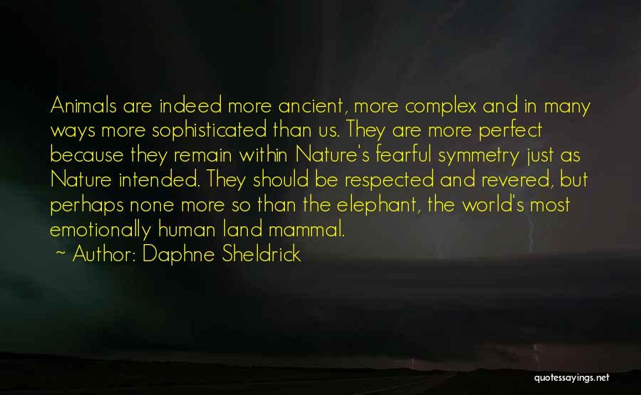 Daphne Sheldrick Quotes: Animals Are Indeed More Ancient, More Complex And In Many Ways More Sophisticated Than Us. They Are More Perfect Because