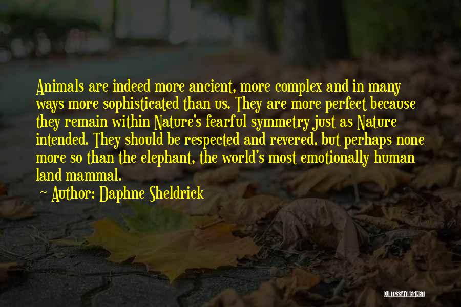 Daphne Sheldrick Quotes: Animals Are Indeed More Ancient, More Complex And In Many Ways More Sophisticated Than Us. They Are More Perfect Because