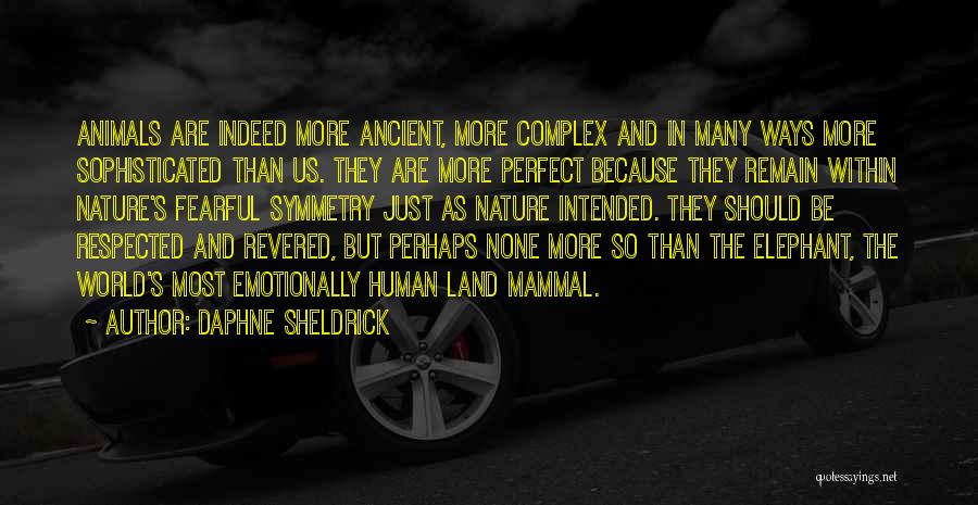 Daphne Sheldrick Quotes: Animals Are Indeed More Ancient, More Complex And In Many Ways More Sophisticated Than Us. They Are More Perfect Because