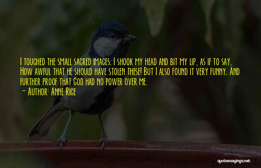 Anne Rice Quotes: I Touched The Small Sacred Images. I Shook My Head And Bit My Lip, As If To Say, How Awful