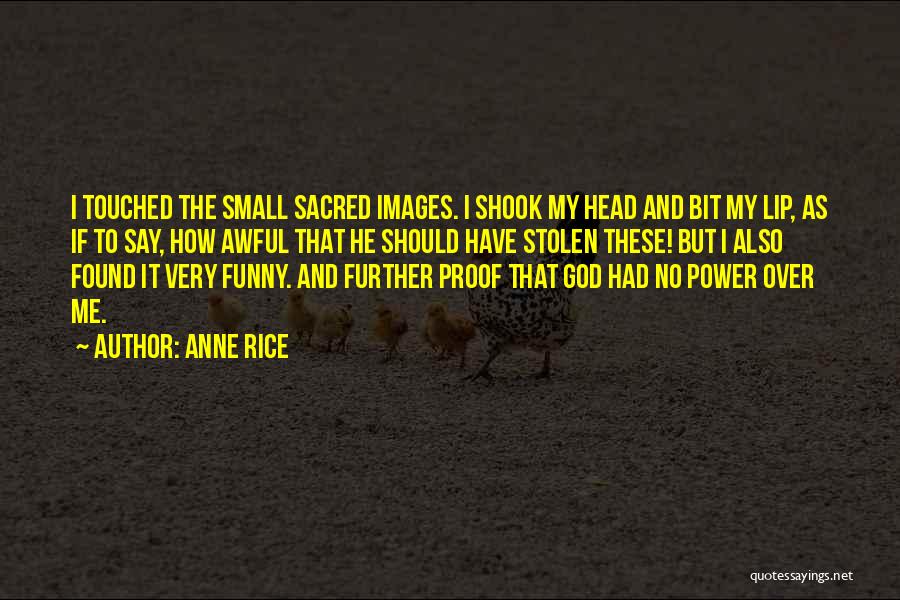 Anne Rice Quotes: I Touched The Small Sacred Images. I Shook My Head And Bit My Lip, As If To Say, How Awful
