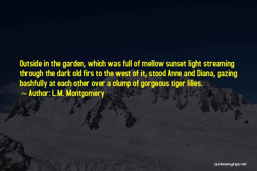 L.M. Montgomery Quotes: Outside In The Garden, Which Was Full Of Mellow Sunset Light Streaming Through The Dark Old Firs To The West