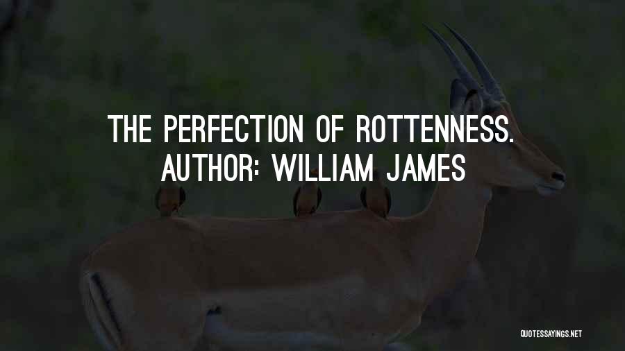 William James Quotes: The Perfection Of Rottenness.