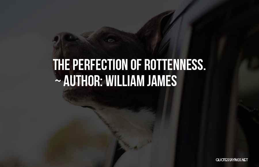 William James Quotes: The Perfection Of Rottenness.