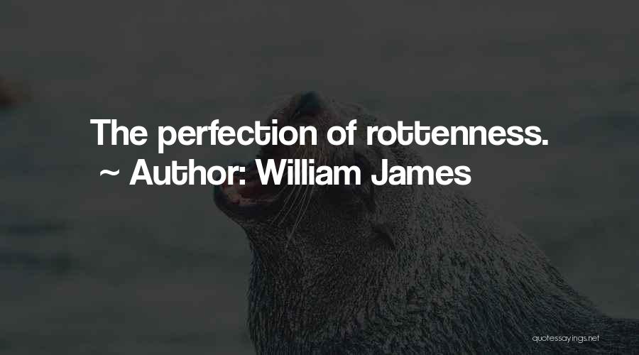 William James Quotes: The Perfection Of Rottenness.