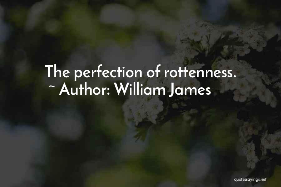 William James Quotes: The Perfection Of Rottenness.