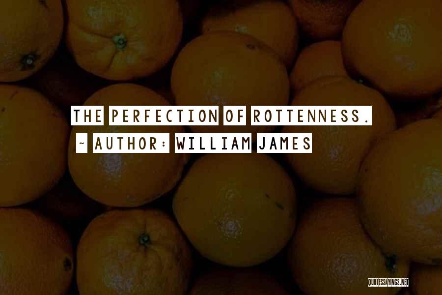 William James Quotes: The Perfection Of Rottenness.