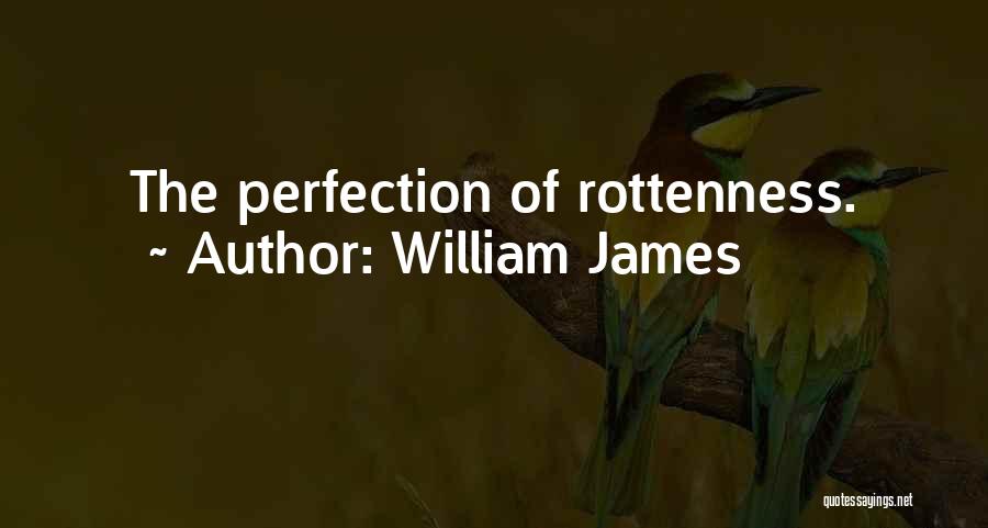 William James Quotes: The Perfection Of Rottenness.