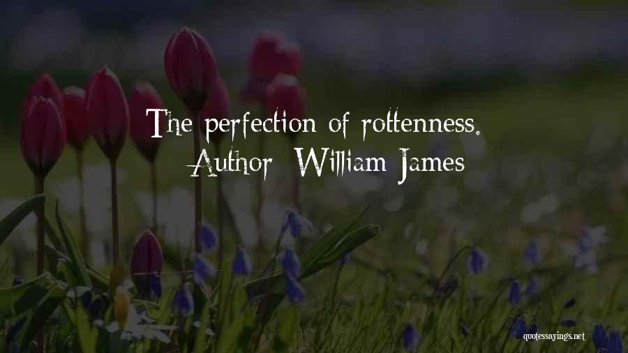 William James Quotes: The Perfection Of Rottenness.