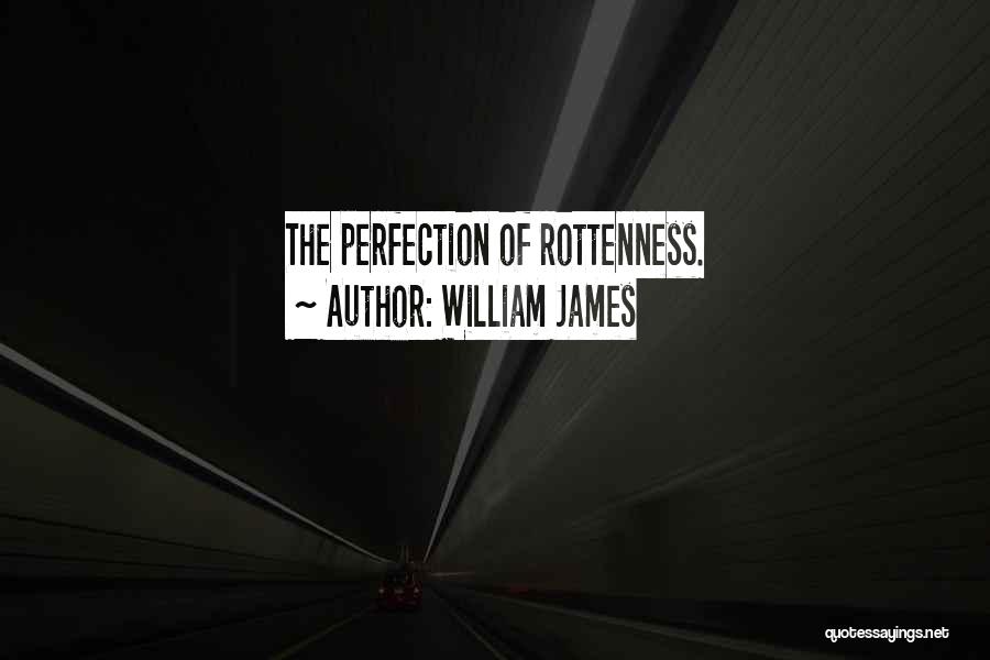 William James Quotes: The Perfection Of Rottenness.