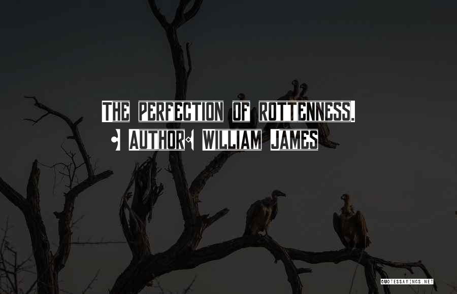 William James Quotes: The Perfection Of Rottenness.