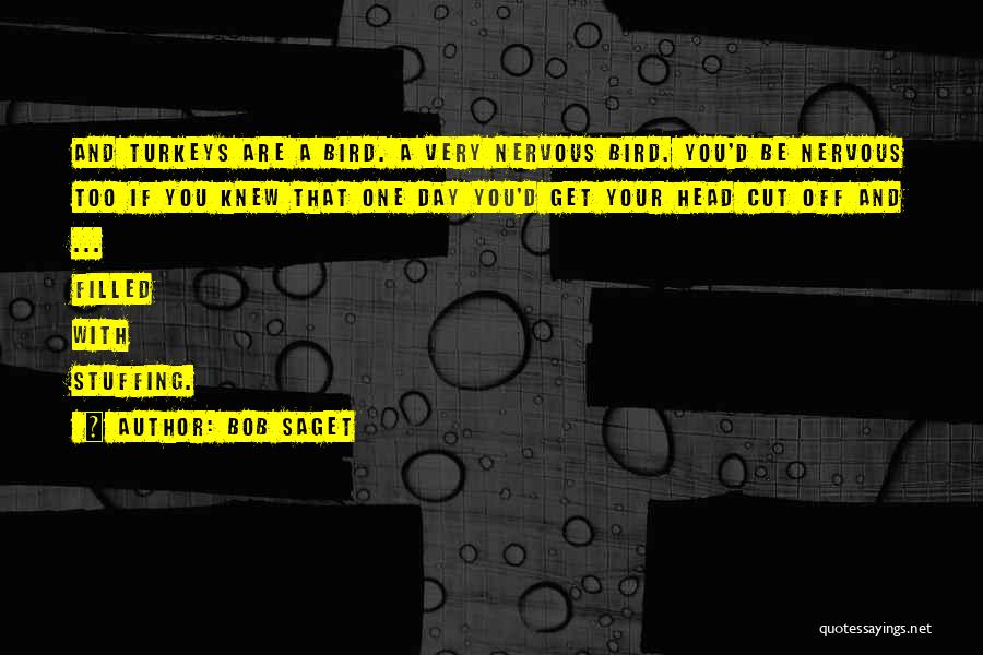Bob Saget Quotes: And Turkeys Are A Bird. A Very Nervous Bird. You'd Be Nervous Too If You Knew That One Day You'd