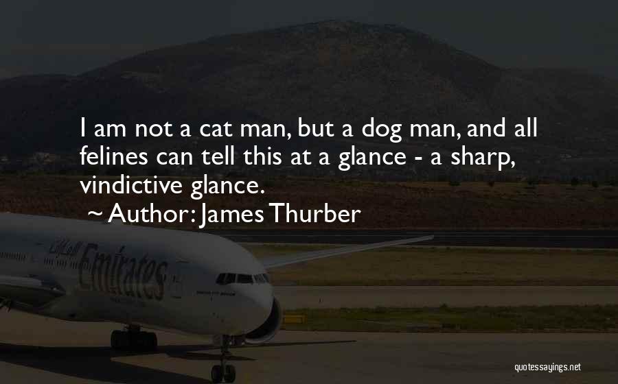 James Thurber Quotes: I Am Not A Cat Man, But A Dog Man, And All Felines Can Tell This At A Glance -