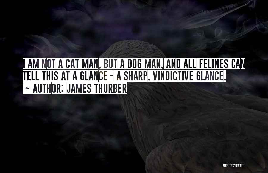 James Thurber Quotes: I Am Not A Cat Man, But A Dog Man, And All Felines Can Tell This At A Glance -