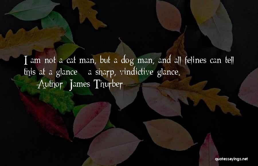 James Thurber Quotes: I Am Not A Cat Man, But A Dog Man, And All Felines Can Tell This At A Glance -