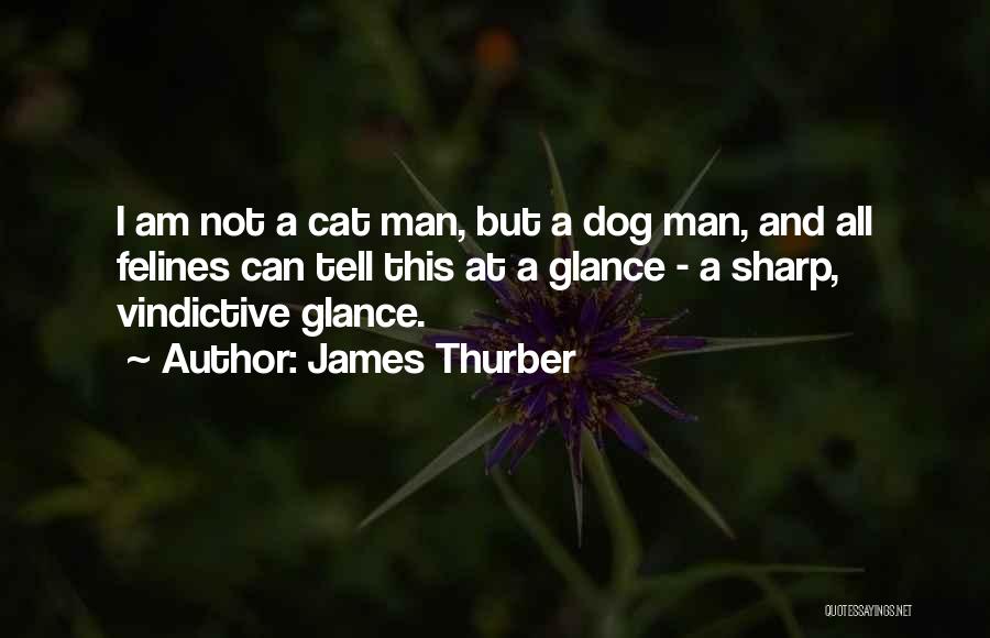 James Thurber Quotes: I Am Not A Cat Man, But A Dog Man, And All Felines Can Tell This At A Glance -