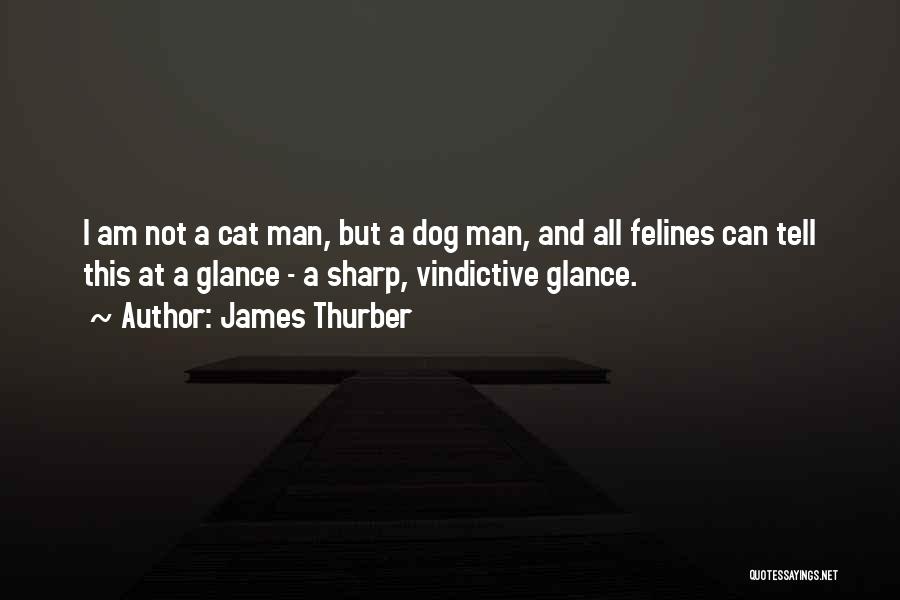 James Thurber Quotes: I Am Not A Cat Man, But A Dog Man, And All Felines Can Tell This At A Glance -