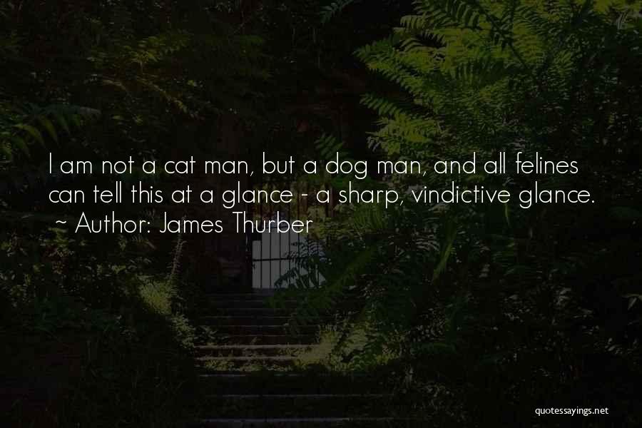 James Thurber Quotes: I Am Not A Cat Man, But A Dog Man, And All Felines Can Tell This At A Glance -
