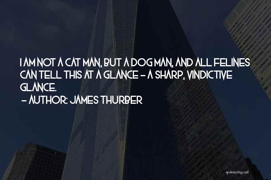 James Thurber Quotes: I Am Not A Cat Man, But A Dog Man, And All Felines Can Tell This At A Glance -