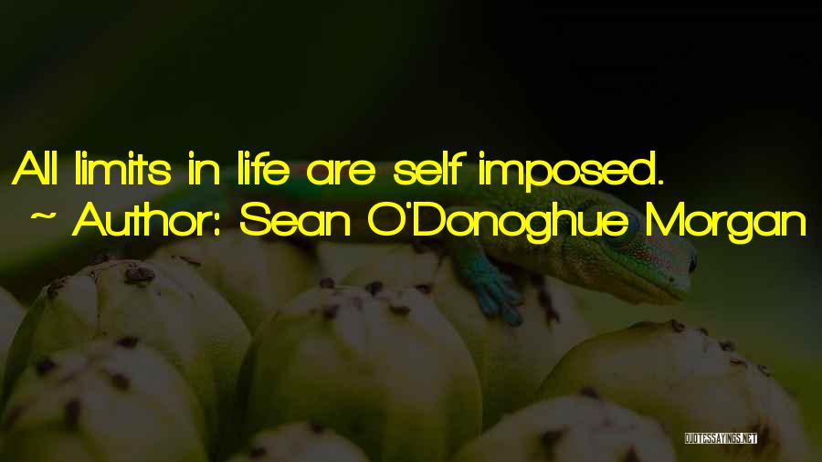 Sean O'Donoghue Morgan Quotes: All Limits In Life Are Self Imposed.