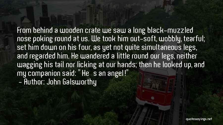 John Galsworthy Quotes: From Behind A Wooden Crate We Saw A Long Black-muzzled Nose Poking Round At Us. We Took Him Out-soft, Wobbly,