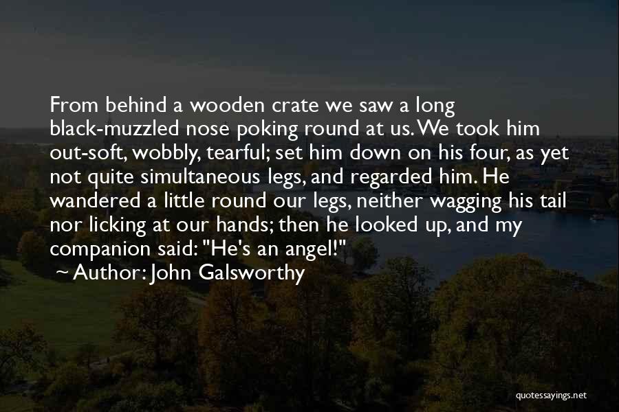 John Galsworthy Quotes: From Behind A Wooden Crate We Saw A Long Black-muzzled Nose Poking Round At Us. We Took Him Out-soft, Wobbly,