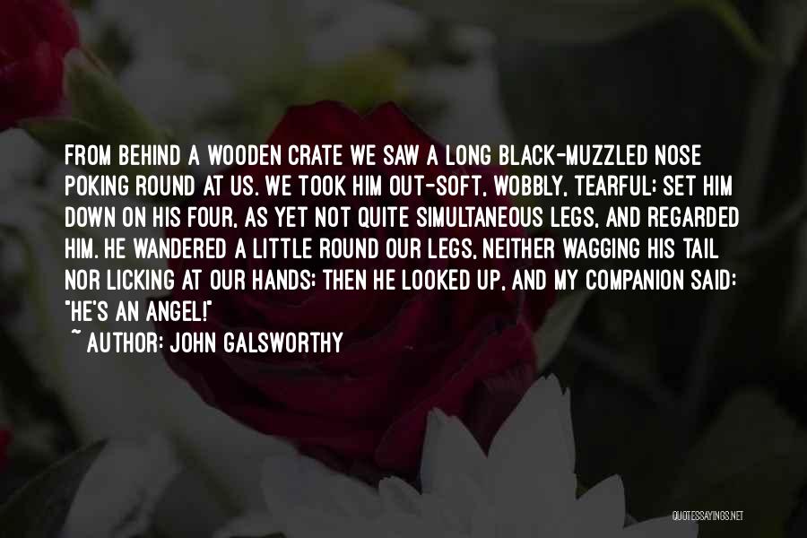 John Galsworthy Quotes: From Behind A Wooden Crate We Saw A Long Black-muzzled Nose Poking Round At Us. We Took Him Out-soft, Wobbly,