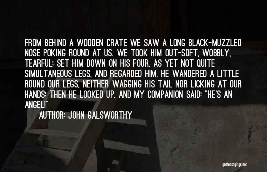 John Galsworthy Quotes: From Behind A Wooden Crate We Saw A Long Black-muzzled Nose Poking Round At Us. We Took Him Out-soft, Wobbly,