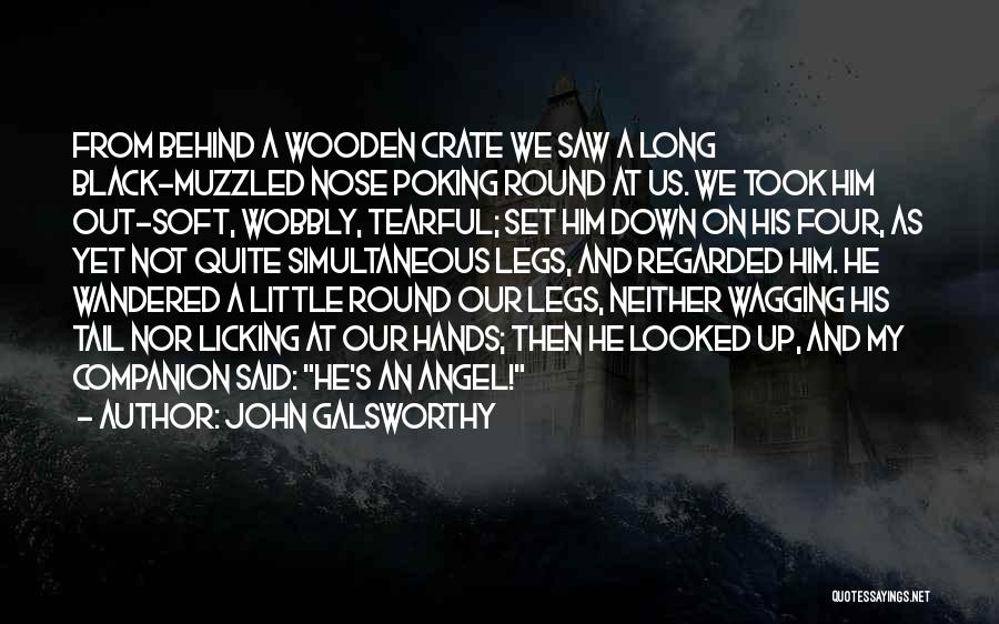 John Galsworthy Quotes: From Behind A Wooden Crate We Saw A Long Black-muzzled Nose Poking Round At Us. We Took Him Out-soft, Wobbly,