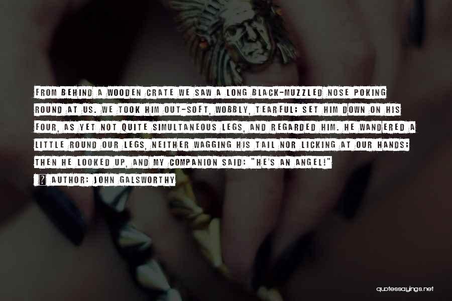 John Galsworthy Quotes: From Behind A Wooden Crate We Saw A Long Black-muzzled Nose Poking Round At Us. We Took Him Out-soft, Wobbly,