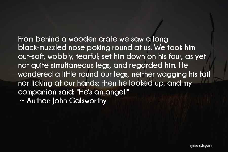 John Galsworthy Quotes: From Behind A Wooden Crate We Saw A Long Black-muzzled Nose Poking Round At Us. We Took Him Out-soft, Wobbly,